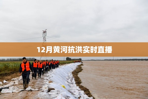 黄河抗洪实时直播报道，关注汛情进展