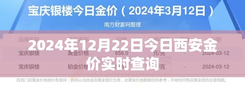 西安今日金价实时查询（2024年12月22日）