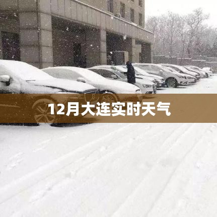 大连十二月实时天气预报