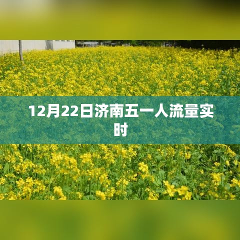 济南五一人流量实时统计（12月22日）