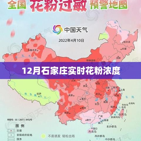 石家庄12月实时花粉浓度监测报告