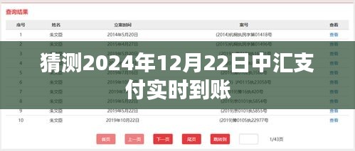 关于中汇支付实时到账时间预测，未来趋势分析