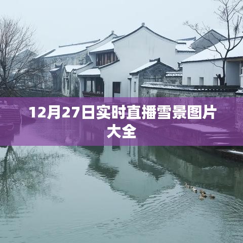 12月27日直播雪景图片实时更新