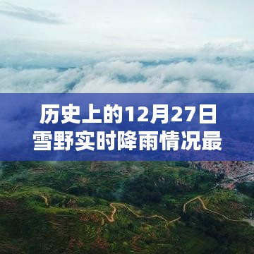 历史雪野实时降雨情况，最新数据解析