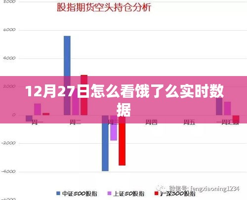 饿了么实时数据查看指南，12月27日解读报告