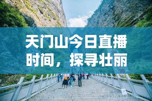 天门山壮丽山景直播纪实，今日直播时间揭晓（12月27日）