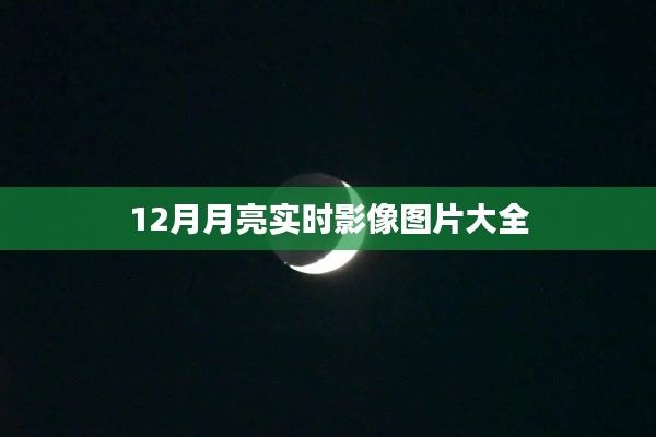 12月月亮实时影像图片集