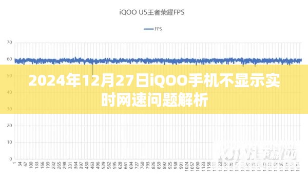 iQOO手机网速不显示问题解析，2024年12月27日实时解析报告