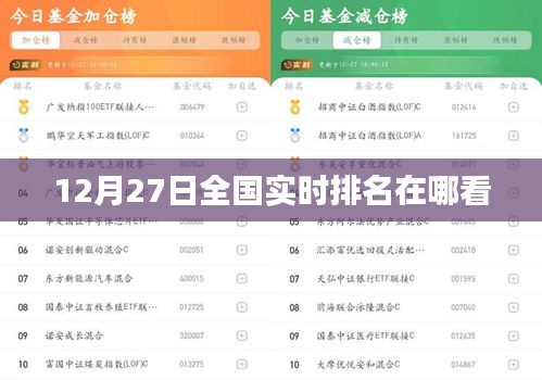 一石二鸟 第3页