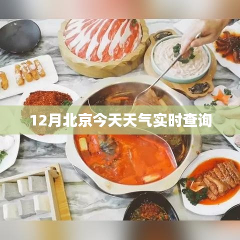 北京今日天气实时查询报告