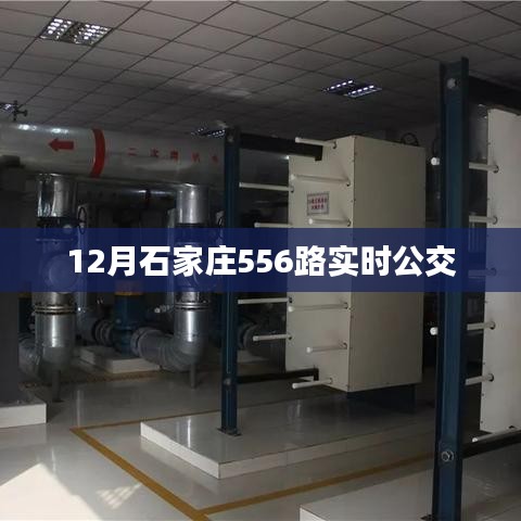 石家庄公交556路实时查询