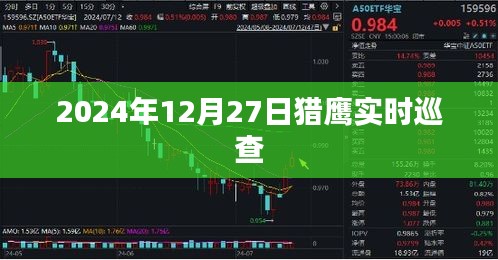 猎鹰实时巡查，最新进展与动态分析