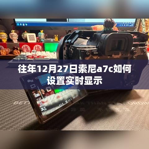 索尼a7c实时显示设置指南