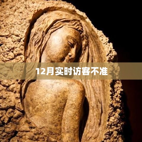 揭秘访客数据不准背后的秘密，揭秘真相！