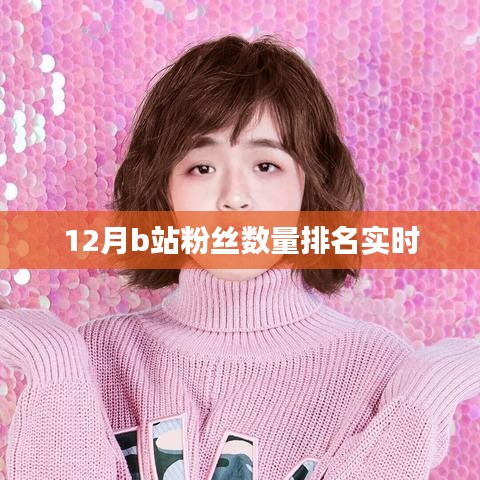 B站粉丝数量排名实时更新（XX月榜单）
