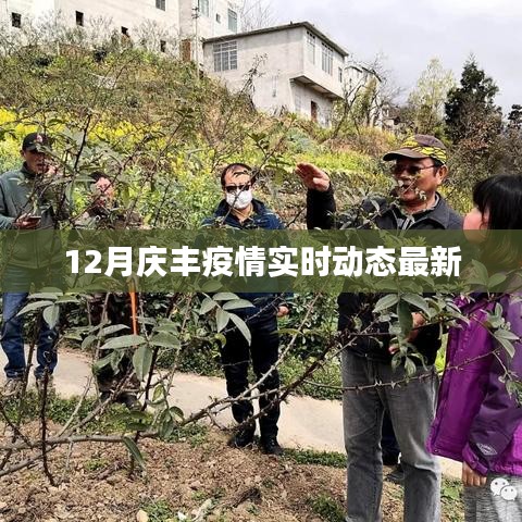 庆丰疫情最新实时动态消息（12月）