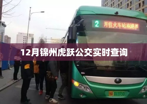 锦州虎跃公交12月实时查询服务