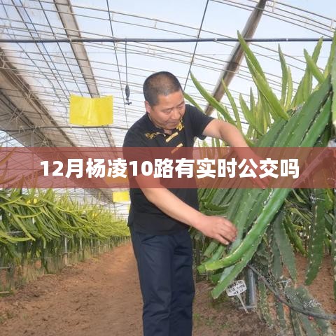 杨凌10路公交车实时查询（十二月版）