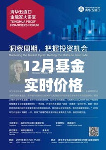 12月基金实时价格与市场动态，把握投资机遇