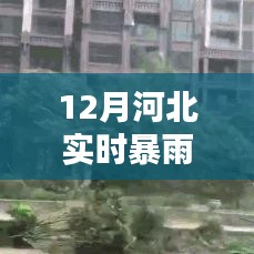 河北暴雨来袭，影响及应对攻略