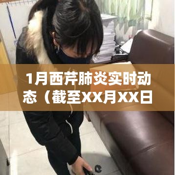 新手上路 第117页