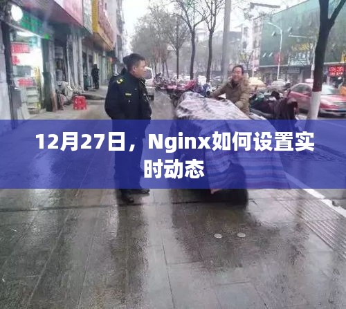 Nginx实时动态设置指南，12月27日教程
