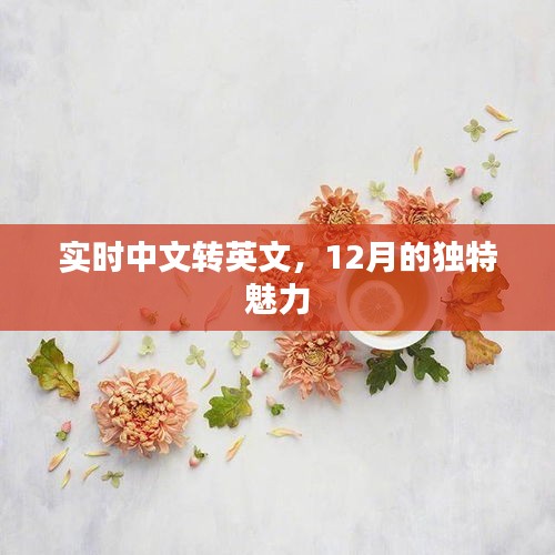 实时中文转英文，揭秘十二月独特魅力