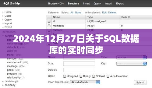 关于SQL数据库实时同步技术及其在2024年应用展望