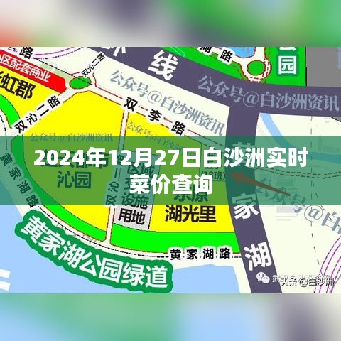 白沙洲菜价实时查询，最新菜价信息（2024年12月27日）