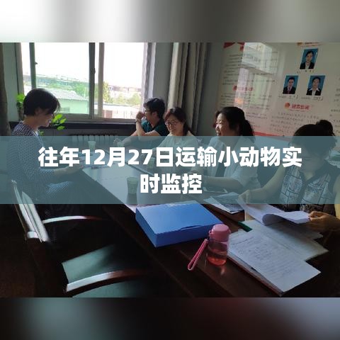 运输小动物实时监控，历年12月27日数据解析