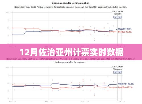 佐治亚州计票最新实时数据（12月）