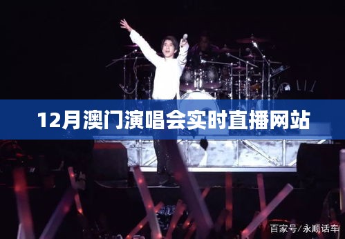 澳门演唱会直播网站，实时观看盛况