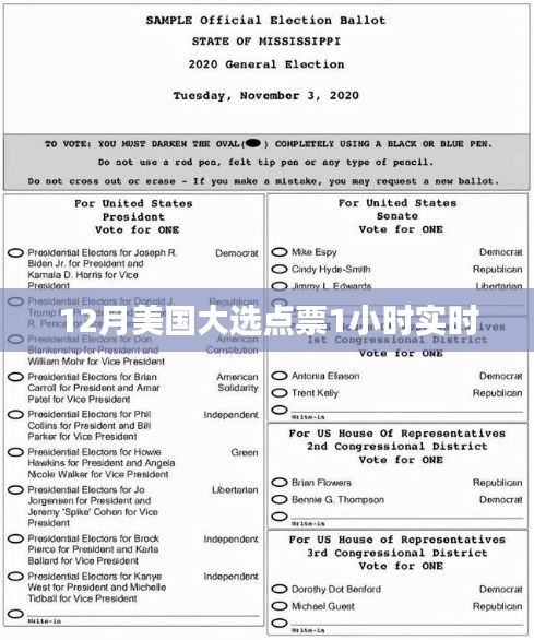 美国大选点票实时追踪，倒计时揭晓胜负