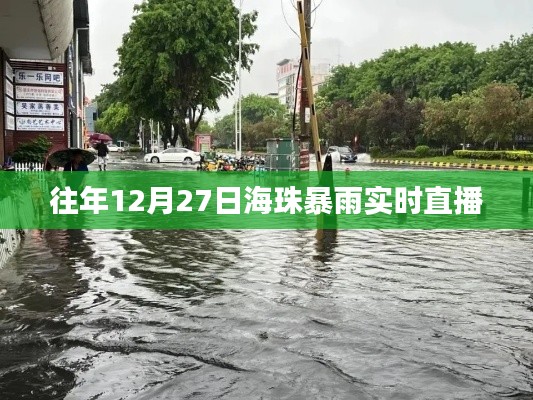 往年12月27日广州海珠区暴雨实况直播