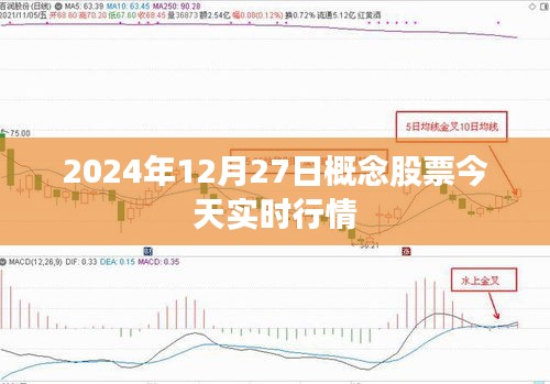 概念股票实时行情分析（2024年12月27日）