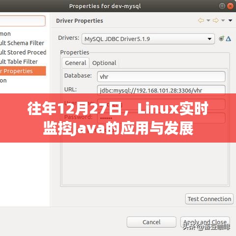 Linux实时监控Java应用与发展动态分析