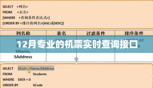 12月专业机票实时查询接口服务