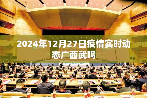 广西武鸣疫情实时动态更新（2024年12月27日）
