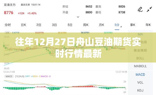 舟山豆油期货实时行情更新，历年年末市场动态分析