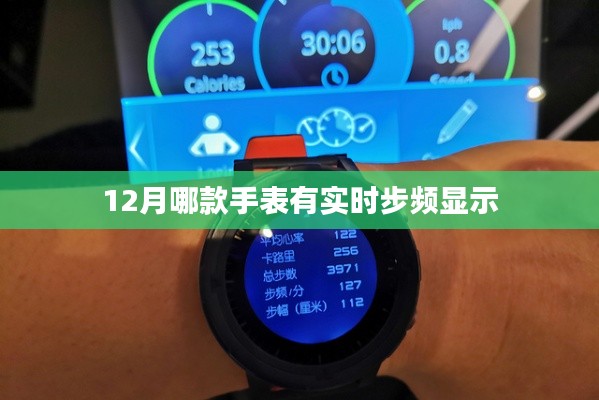 12月热门手表推荐，实时步频显示功能手表