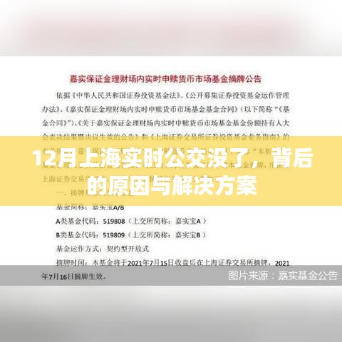 上海公交实时信息消失之谜，原因与解决方案