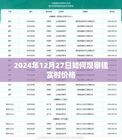 如何观察锂实时价格，2024年最新指南