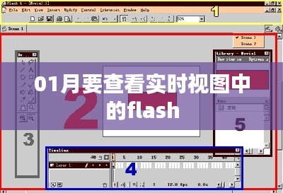实时查看Flash视图指南，掌握一月动态