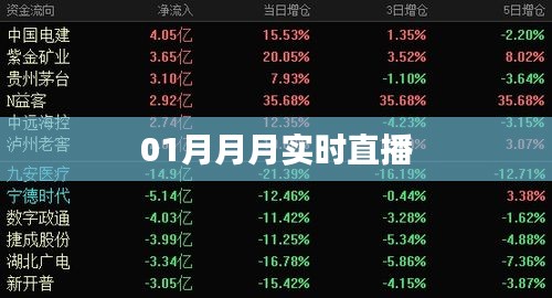 月入直播新纪元，实时直播新动态