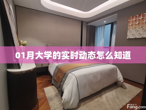 丰容盛鬋 第3页