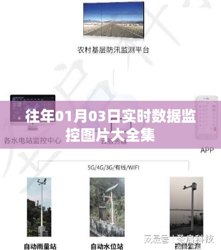精选实时数据监控图片集，历年一月初监控概览