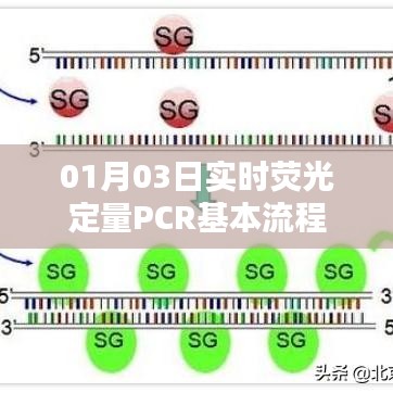 实时荧光定量PCR基本流程详解，从准备到结果分析