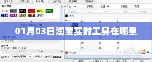 淘宝实时工具位置指南，01月03日查询攻略