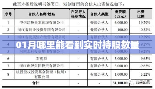 实时查看股票持股数量，一月份最佳查询地点