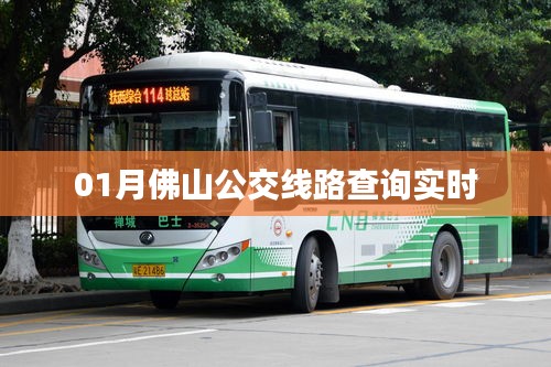 佛山实时公交线路查询指南